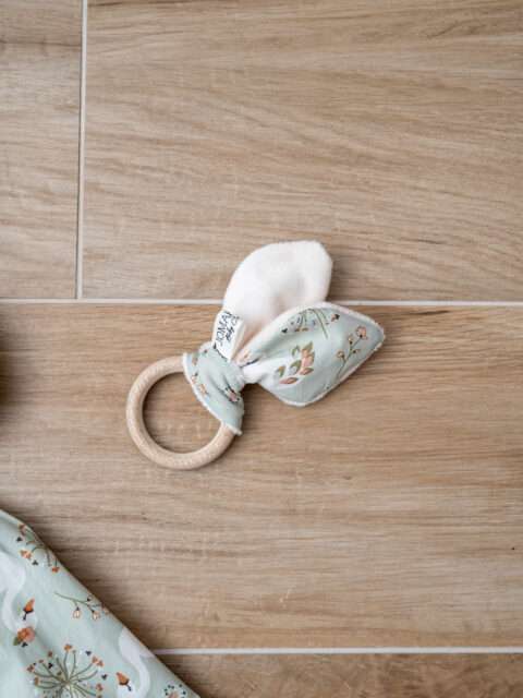 Μασητικό Οδοντοφυΐας Swan