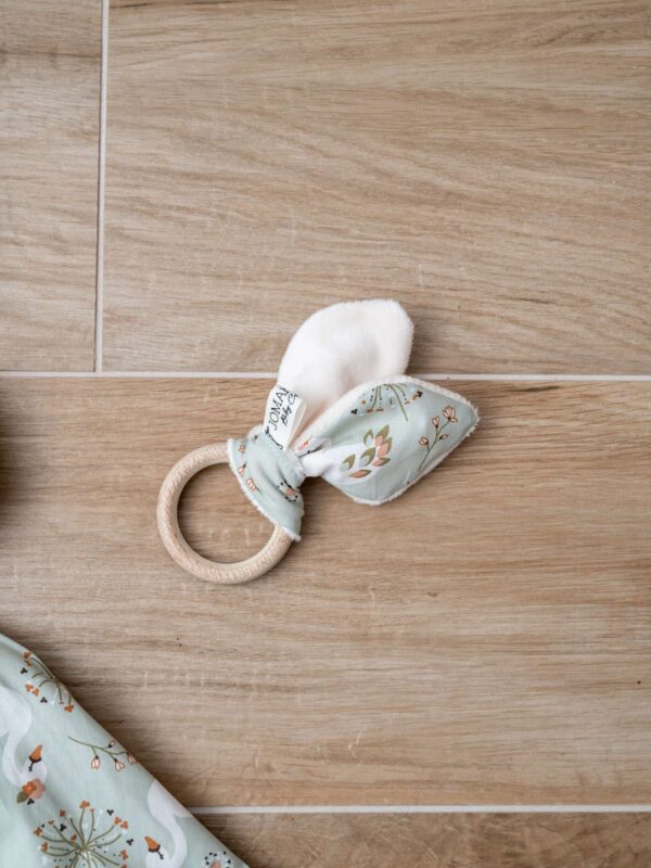 Μασητικό Οδοντοφυΐας Swan