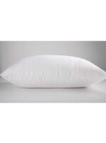 1510730255_anatomic_01