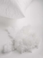 1510730255_anatomic_02