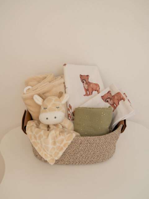 -Καλαθάκι Δώρου Bear-y Cute