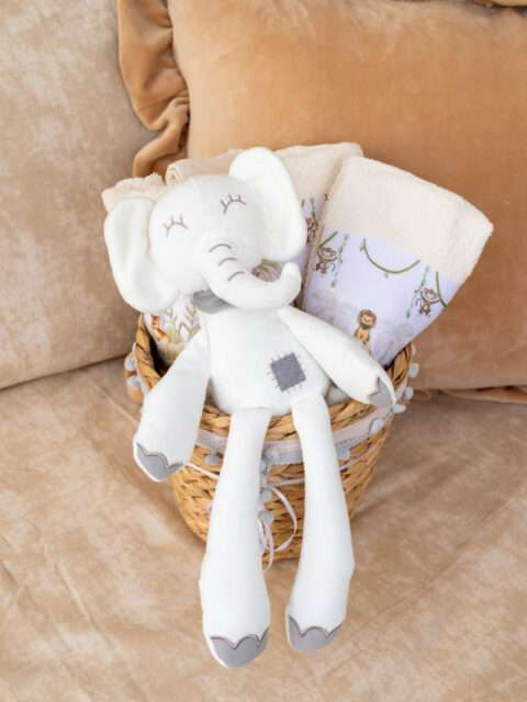 -Καλαθάκι Δώρου Baby boy