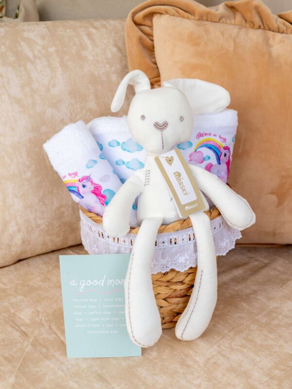 -Καλαθάκι Δώρου Baby girl